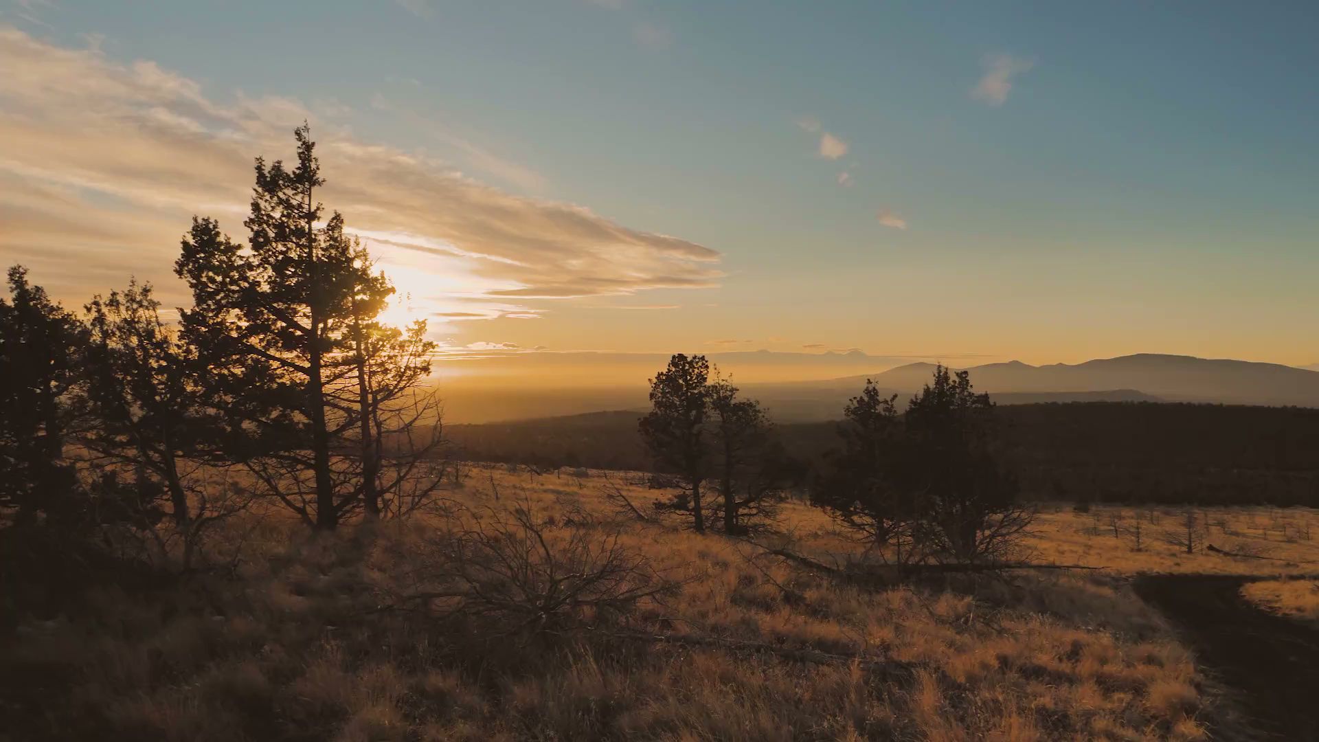 Prineville Reservoir State Park