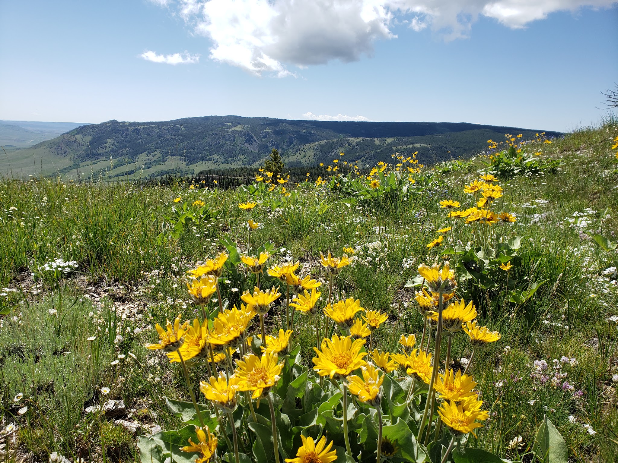 Prior Flat Campground
