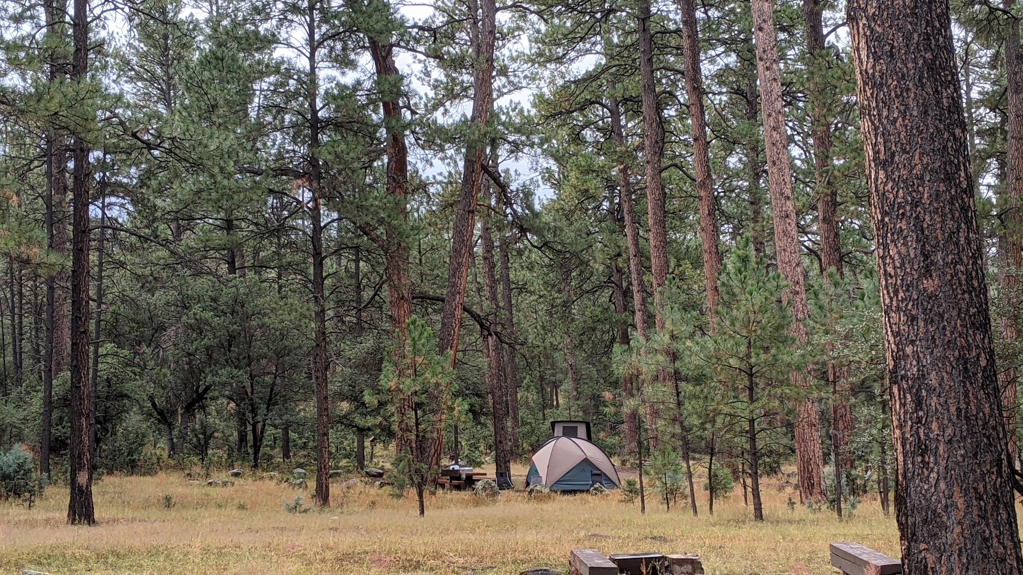 Pueblo Park Campground