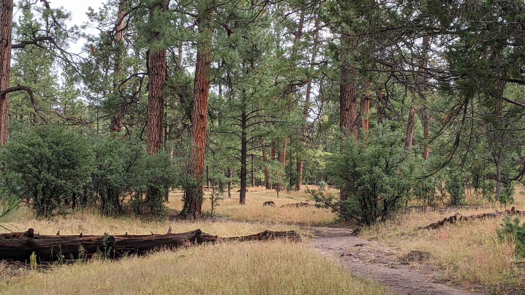Pueblo Park Campground