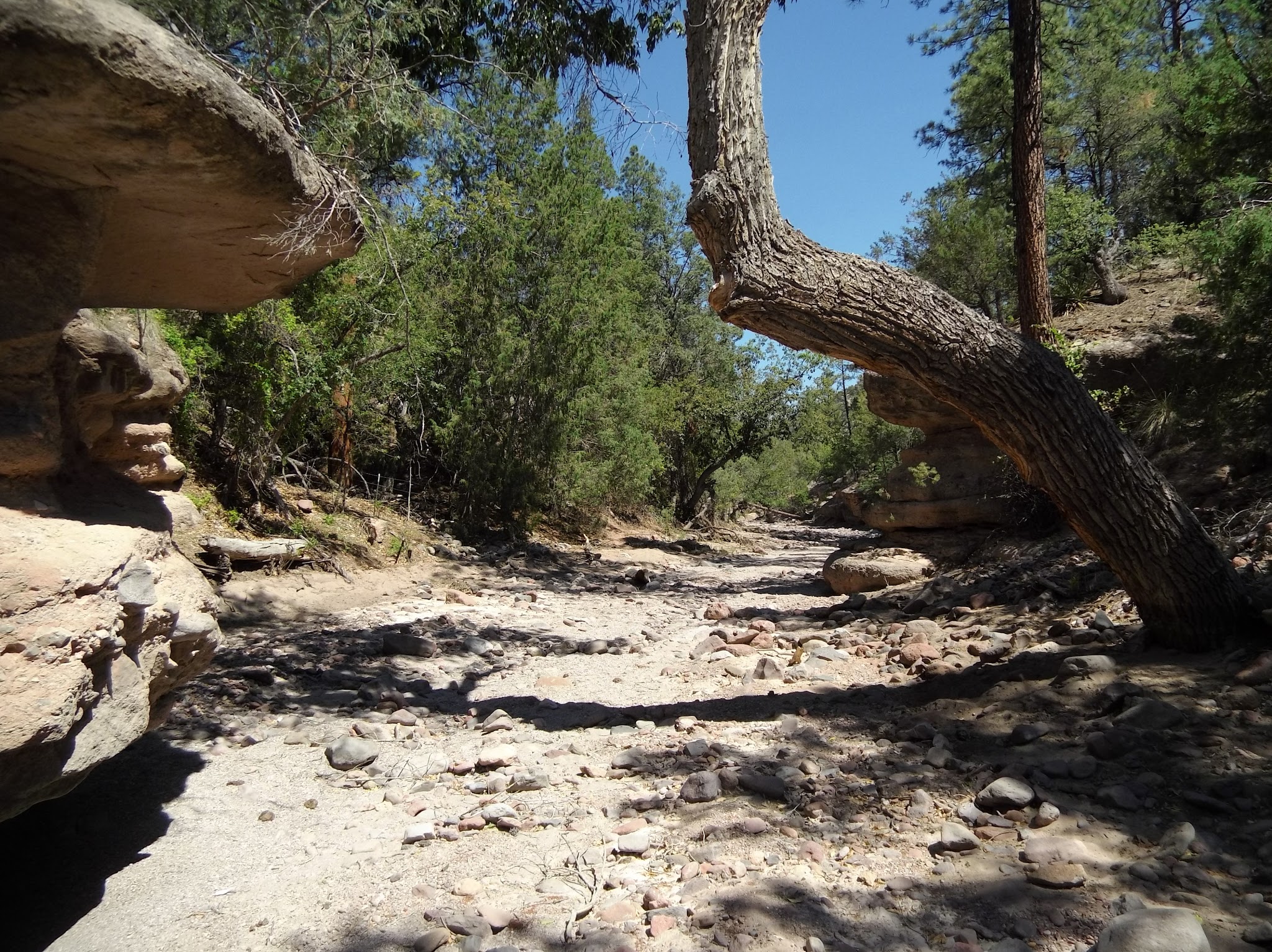 Pueblo Park Campground