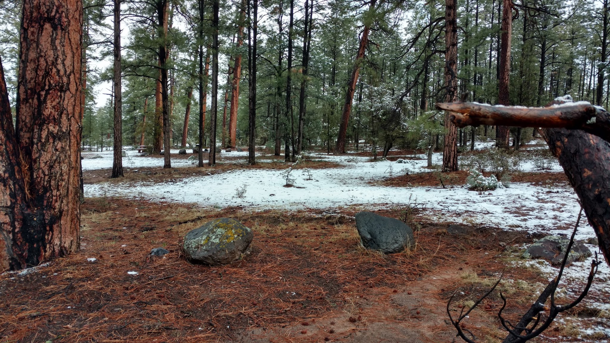 Pueblo Park Campground