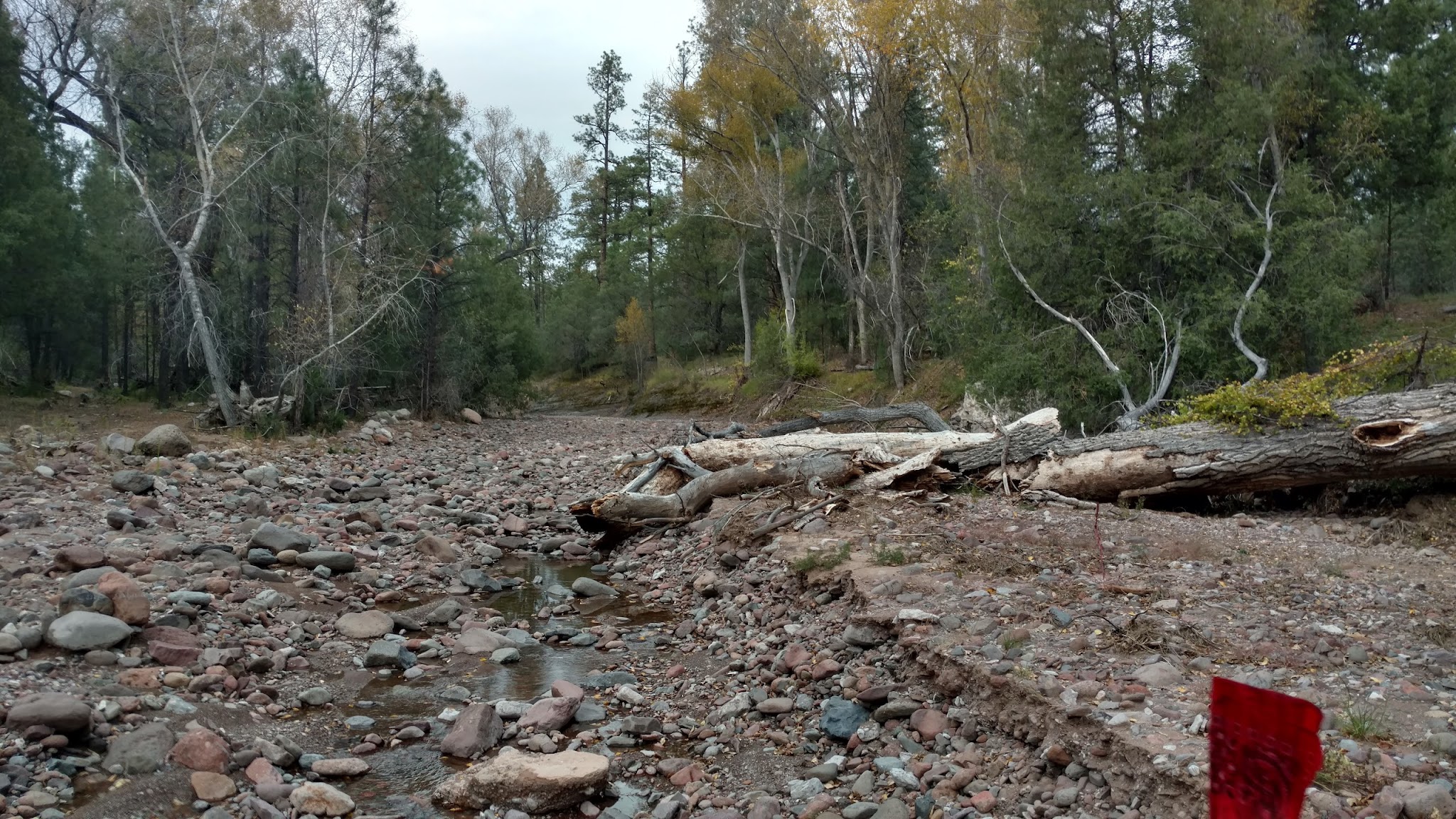 Pueblo Park Campground