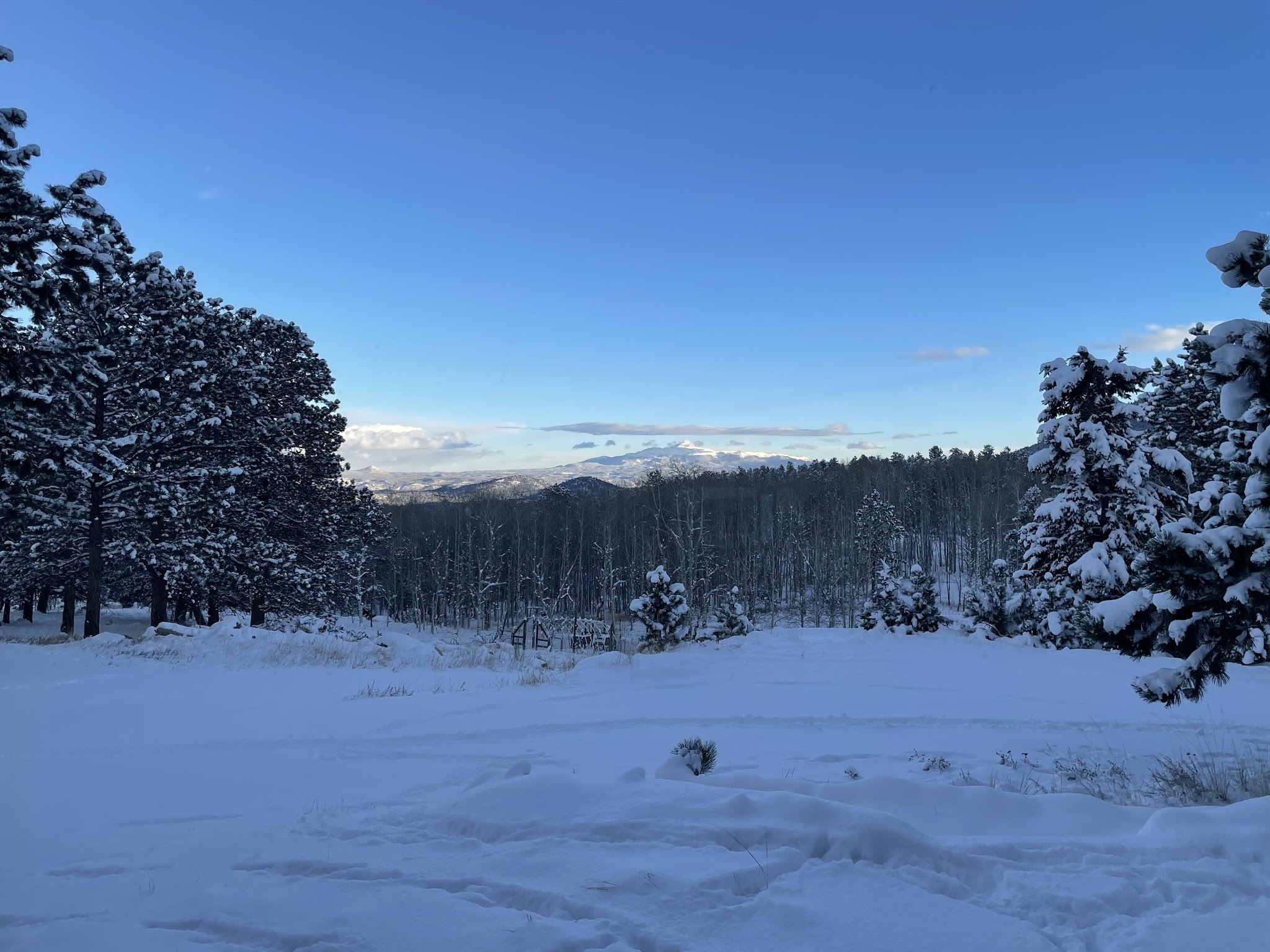 Pulver Mountain Group Site