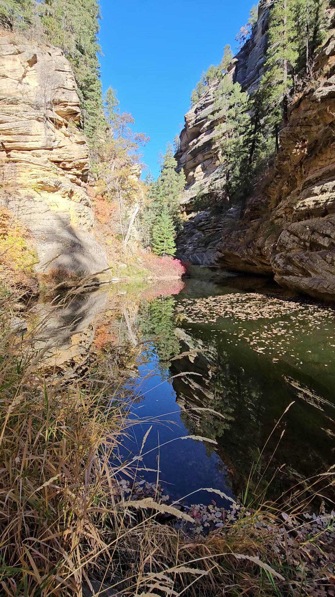 Pumphouse Wash (Fr 237) Dispersed Camping Area
