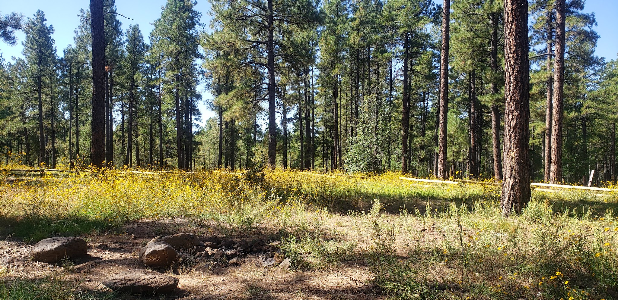 Pumphouse Wash (Fr 237) Dispersed Camping Area