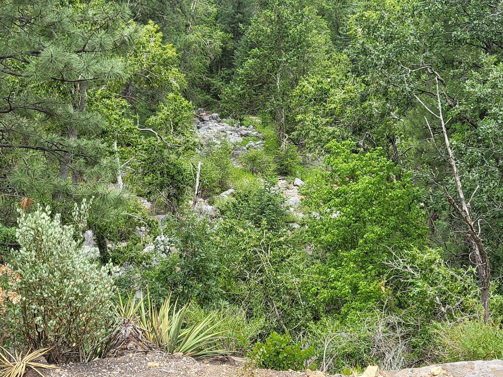 Pumphouse Wash (Fr 237) Dispersed Camping Area