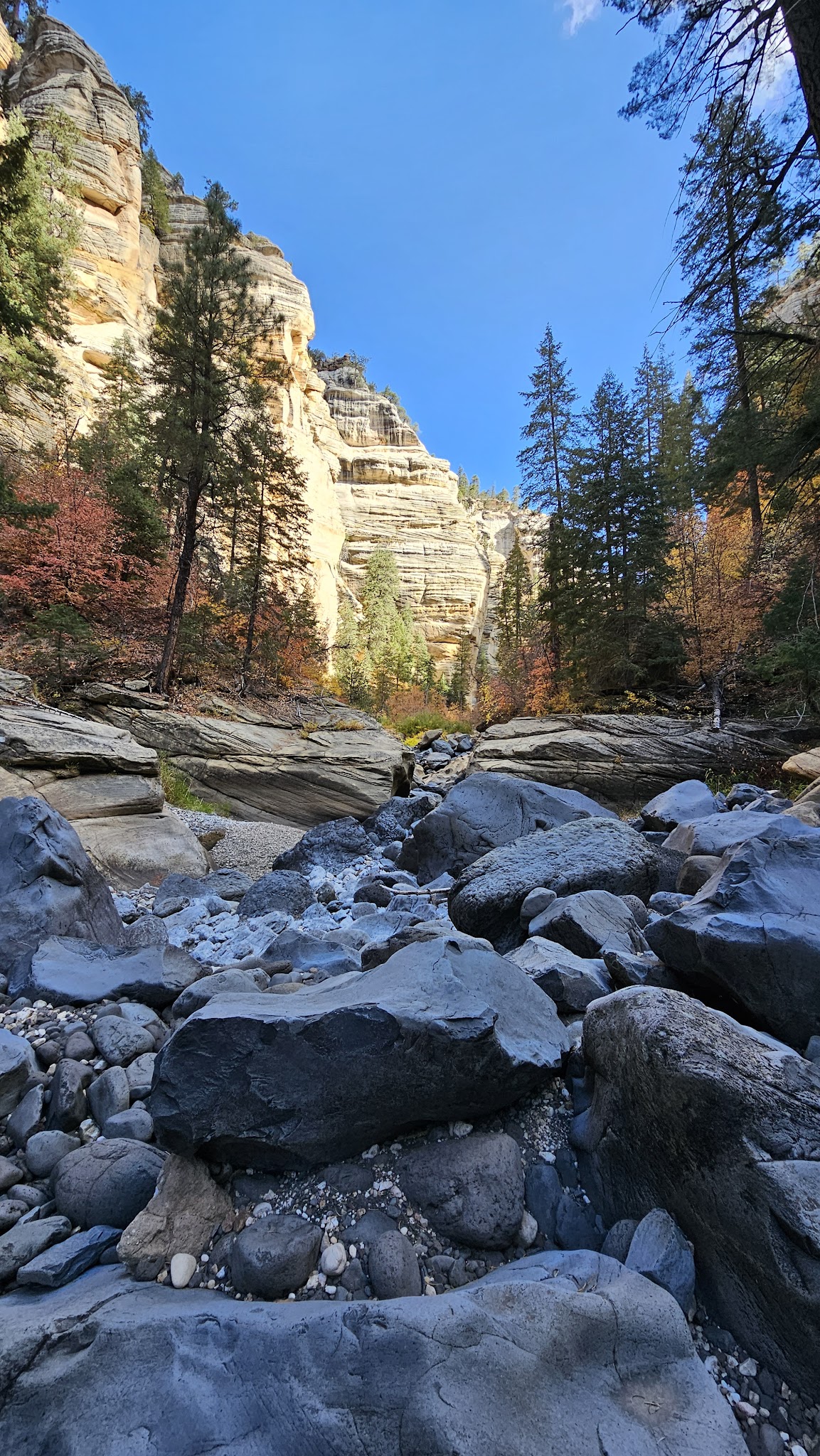Pumphouse Wash (Fr 237) Dispersed Camping Area