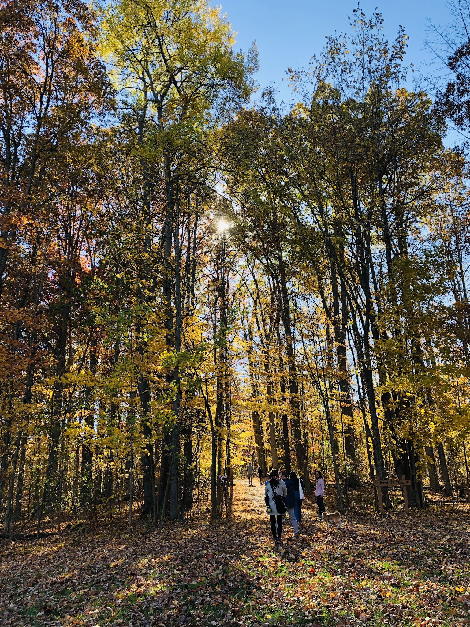 Punderson Campground