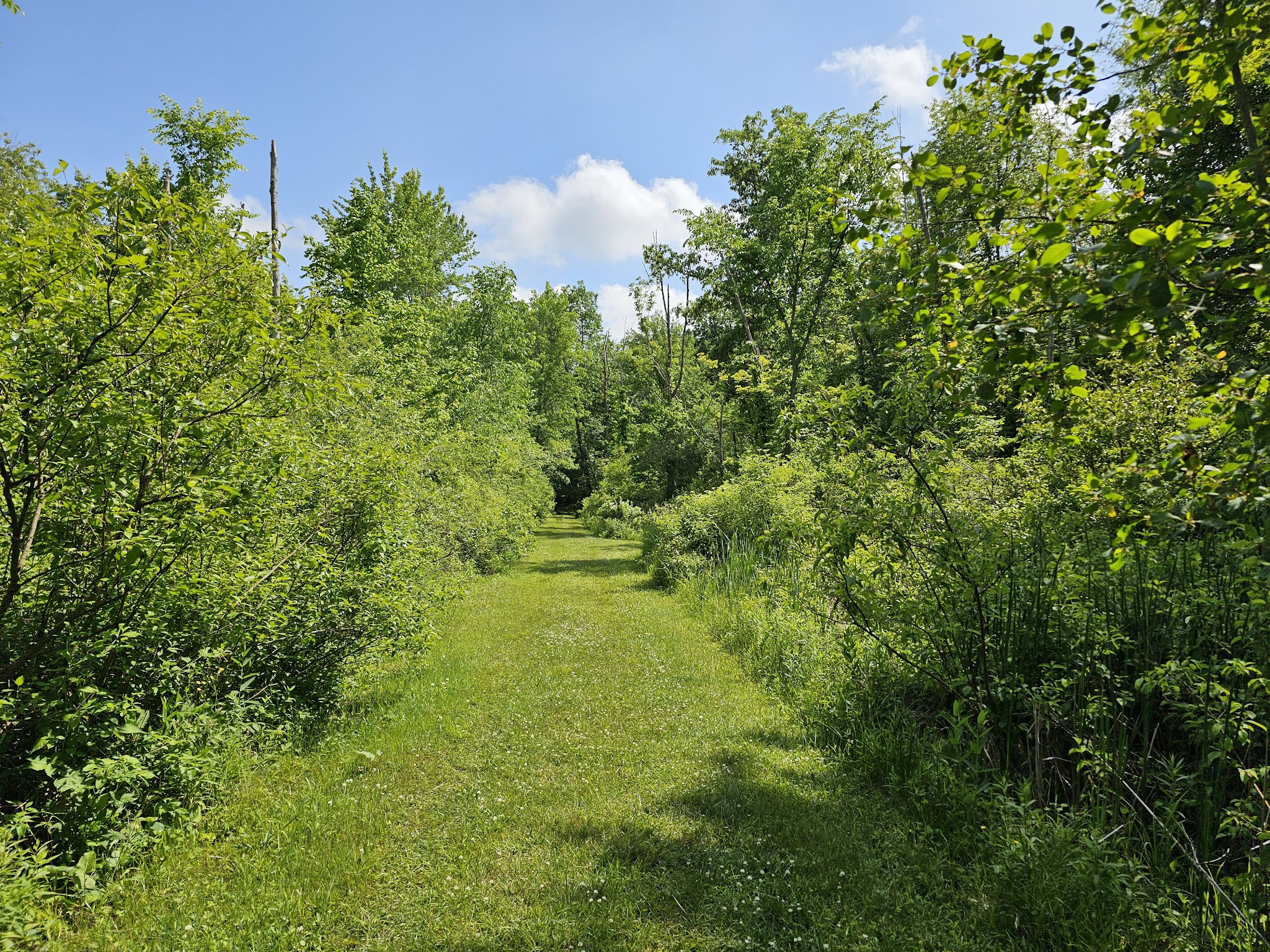 Punderson Campground
