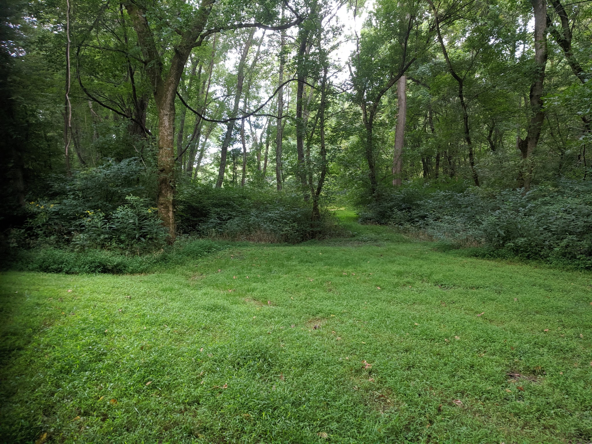 Purslane Run Hiker-Biker Overnight (Hbo) Campsite