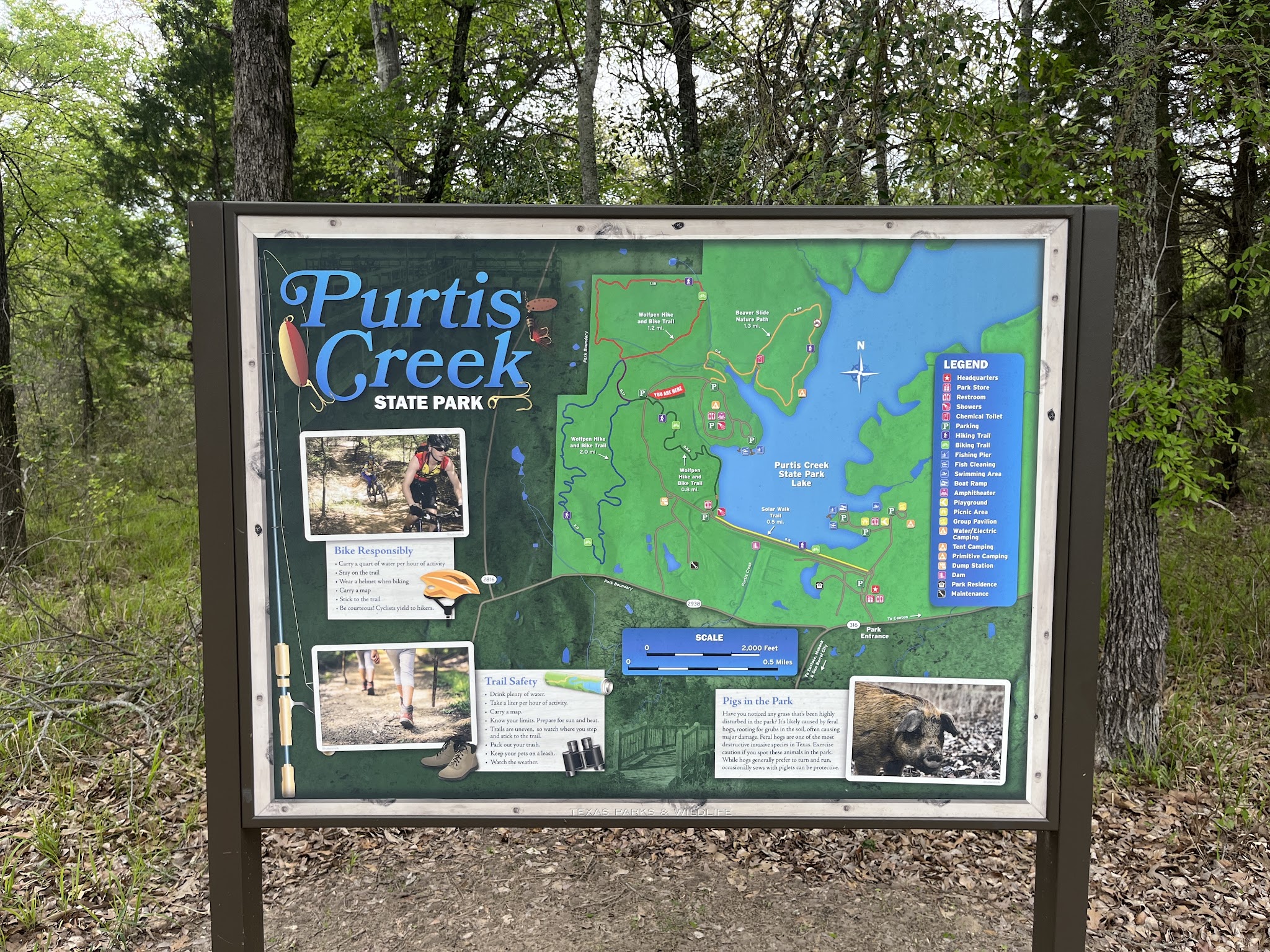 Purtis Creek State Park