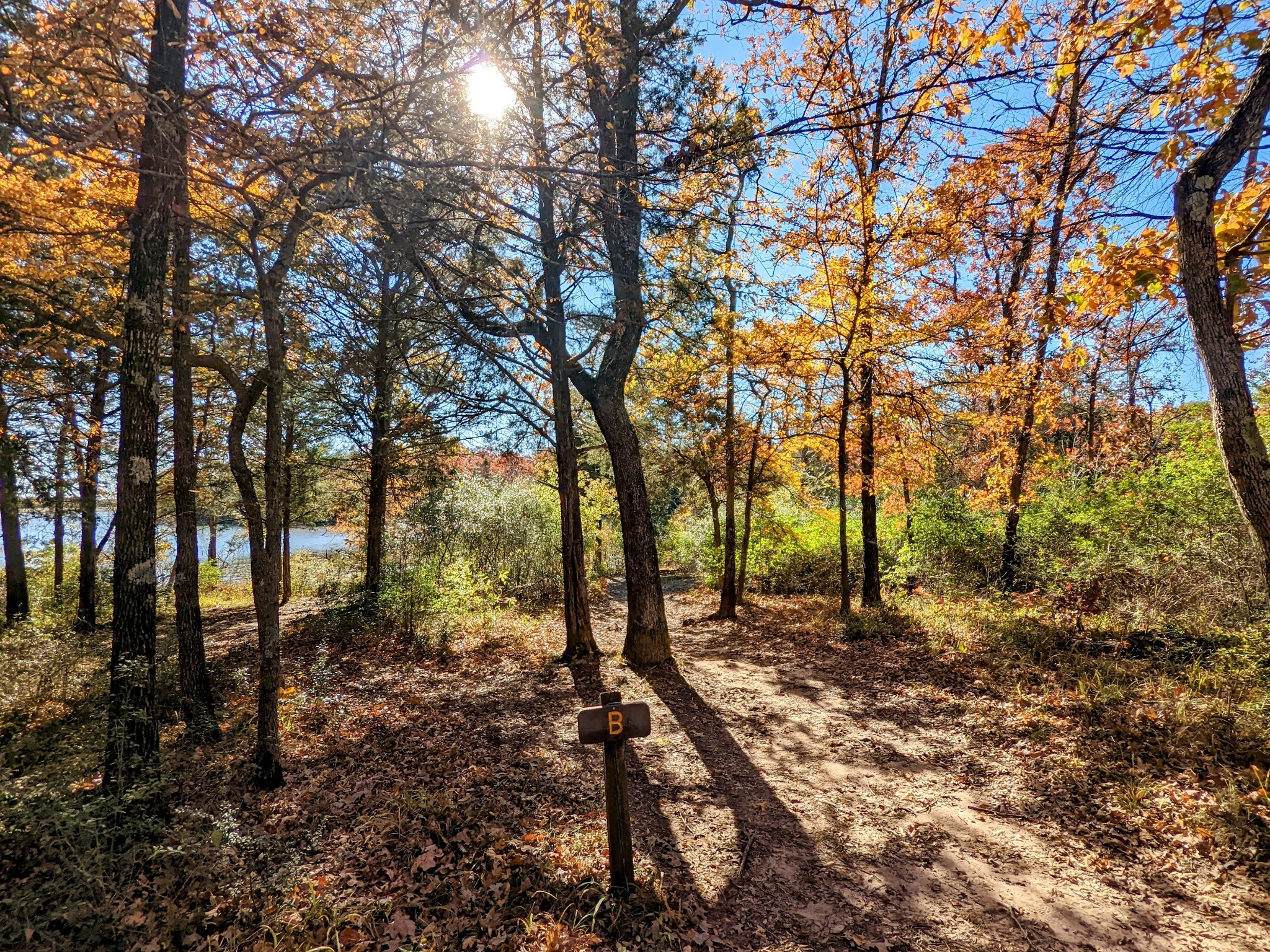Purtis Creek State Park