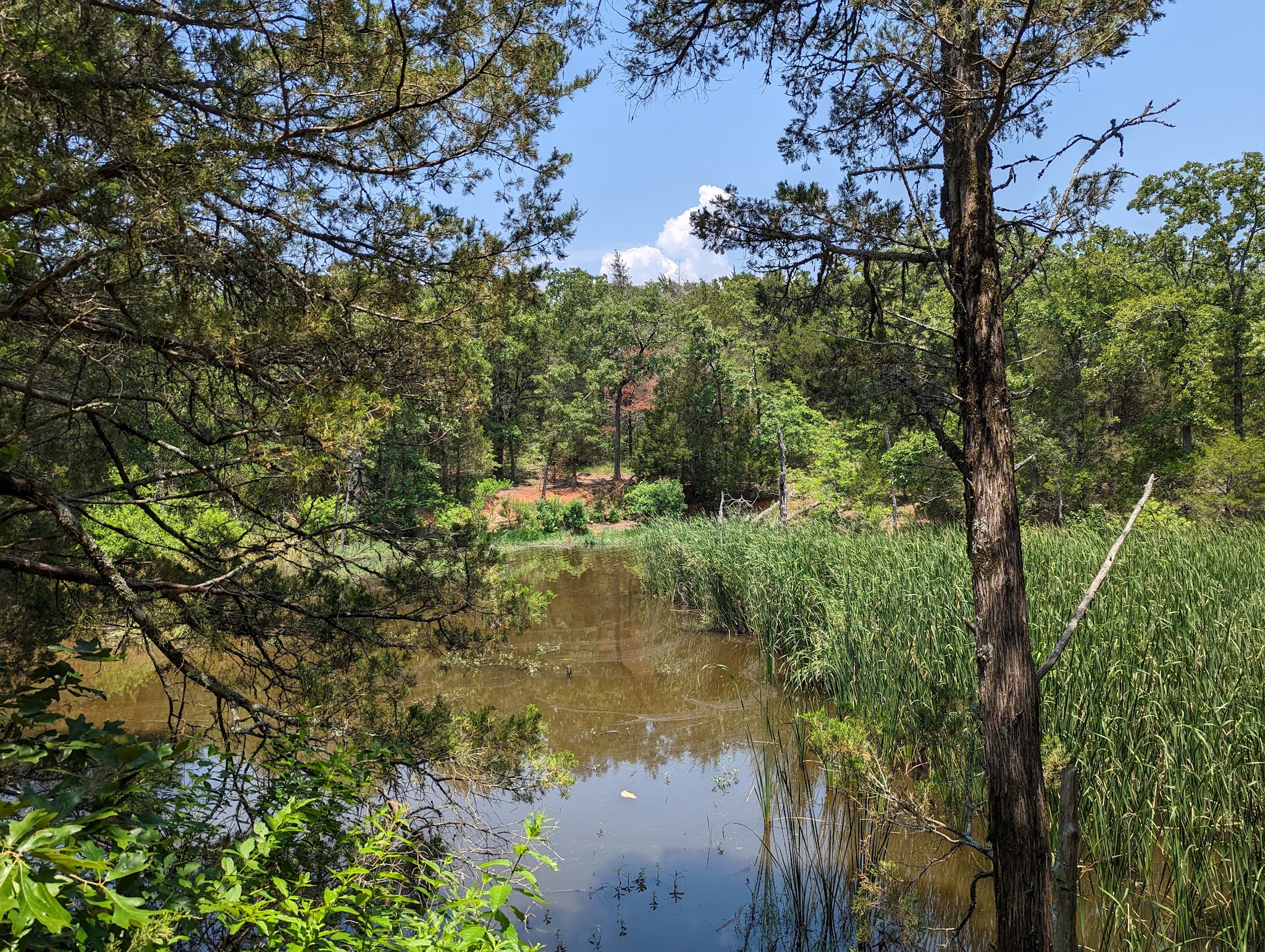 Purtis Creek State Park