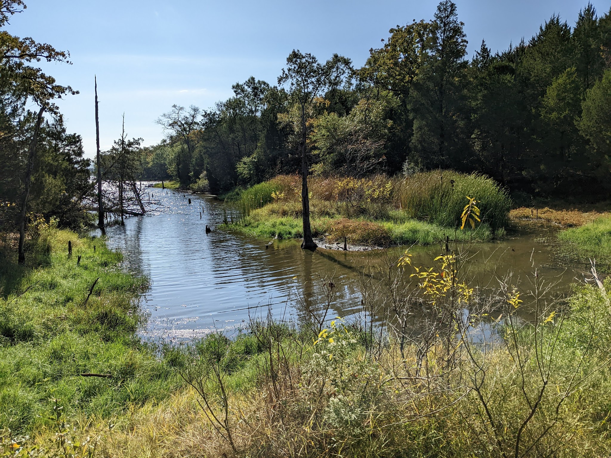 Purtis Creek State Park