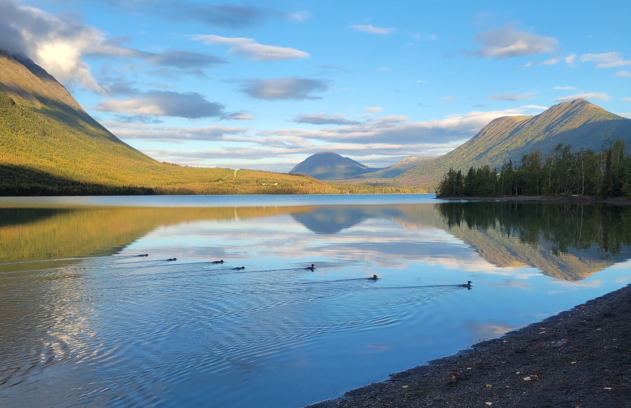 Best campgrounds in Alaska