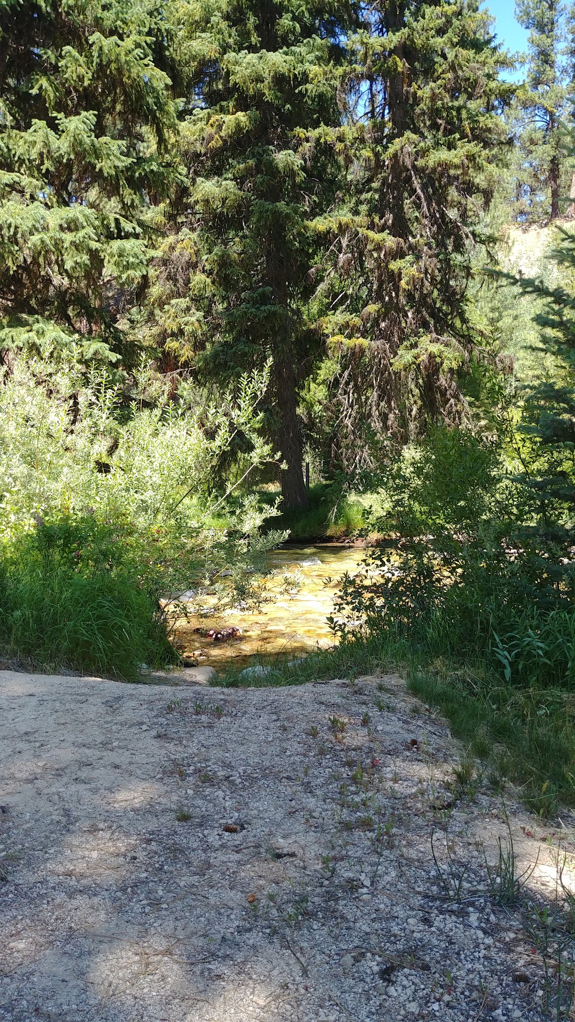 Riverside Campground (Idaho City)