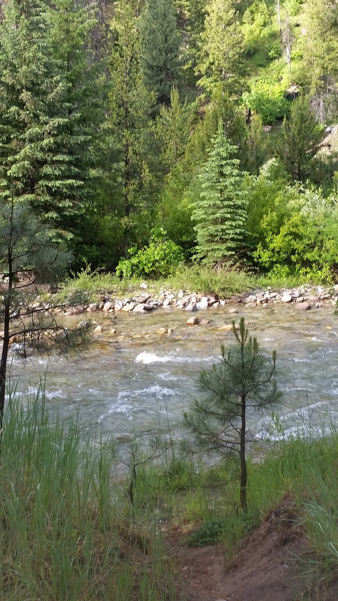 Riverside Campground (Idaho City)