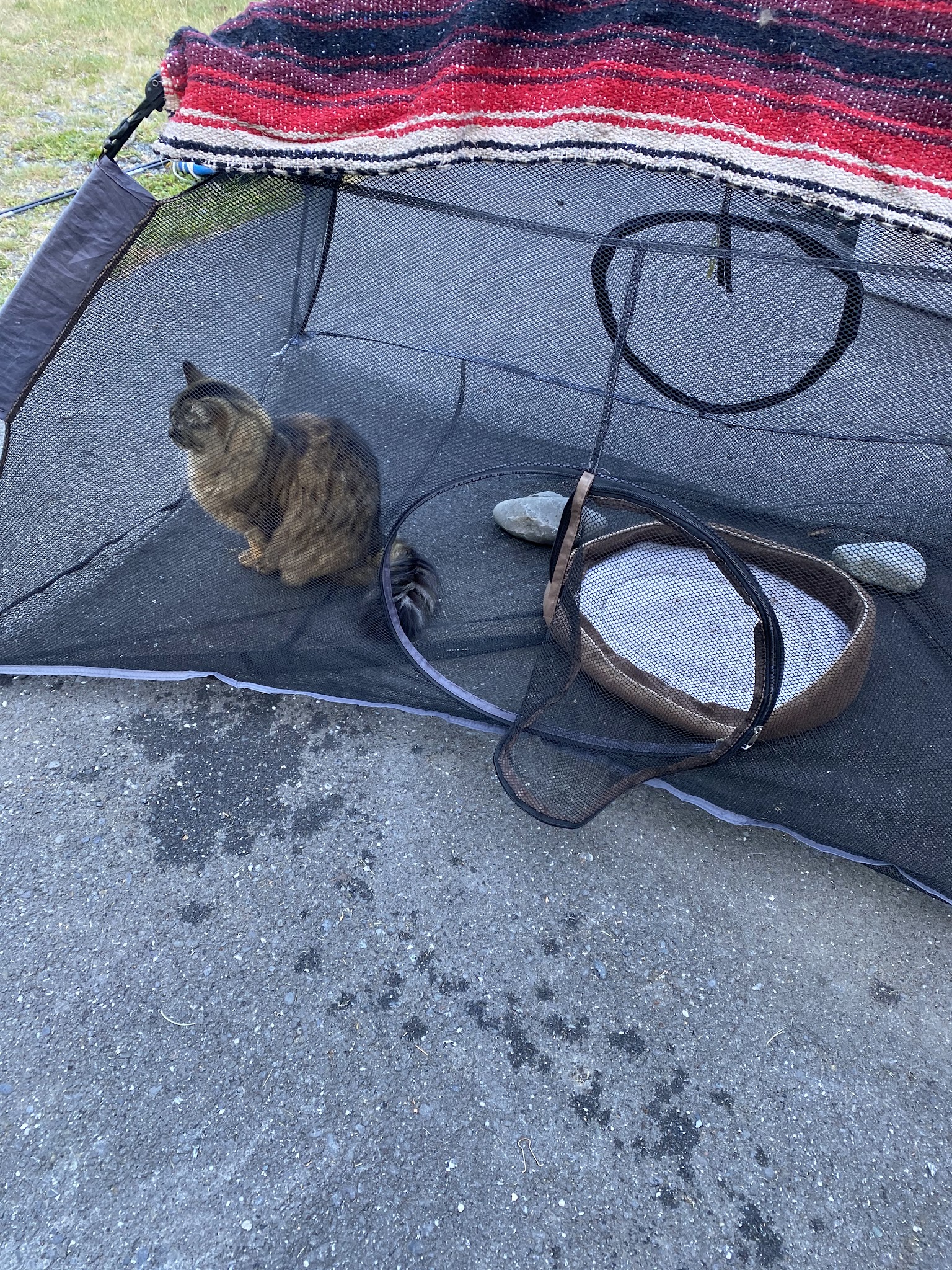 Quosatana Campground