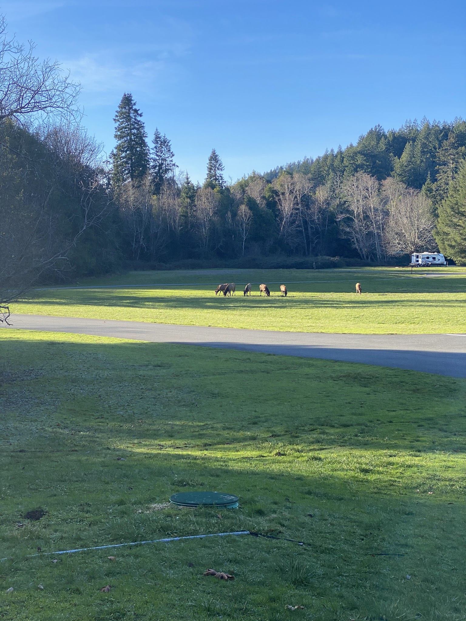 Quosatana Campground