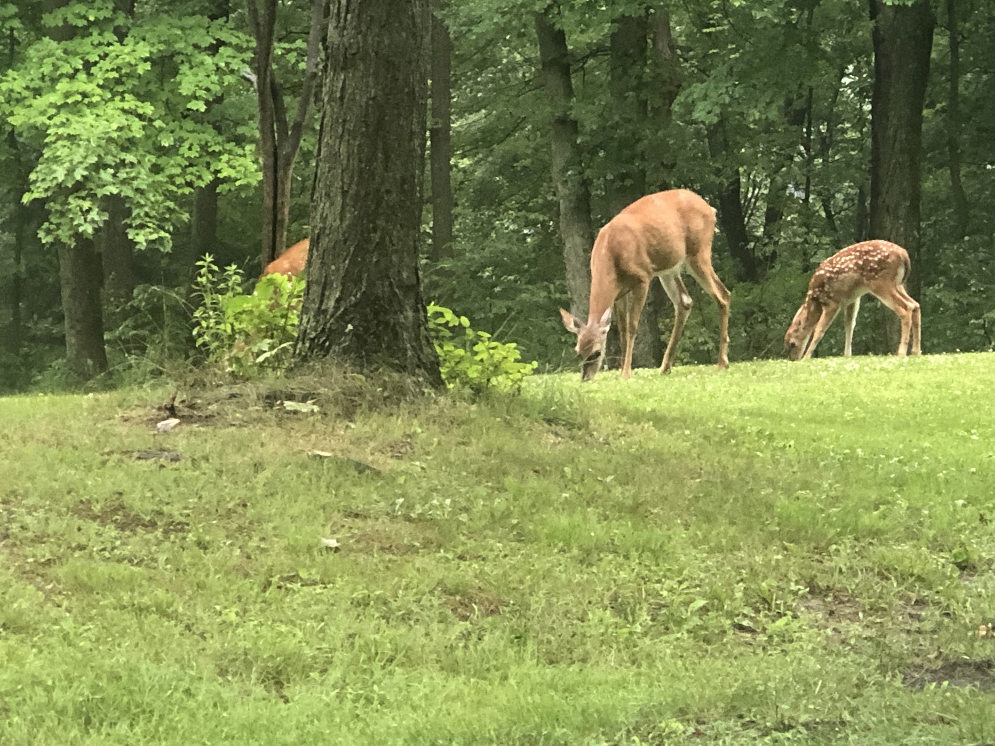 Raccoon Creek State Park