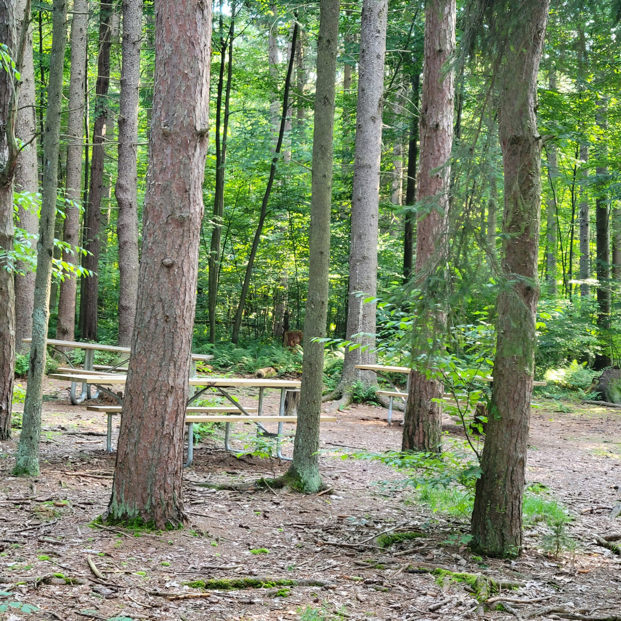 Raccoon Creek State Park