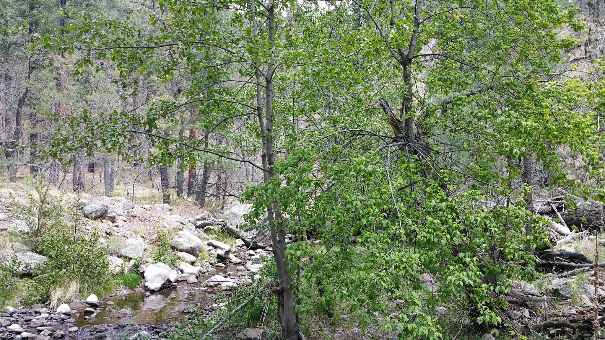 Railroad Canyon Campground