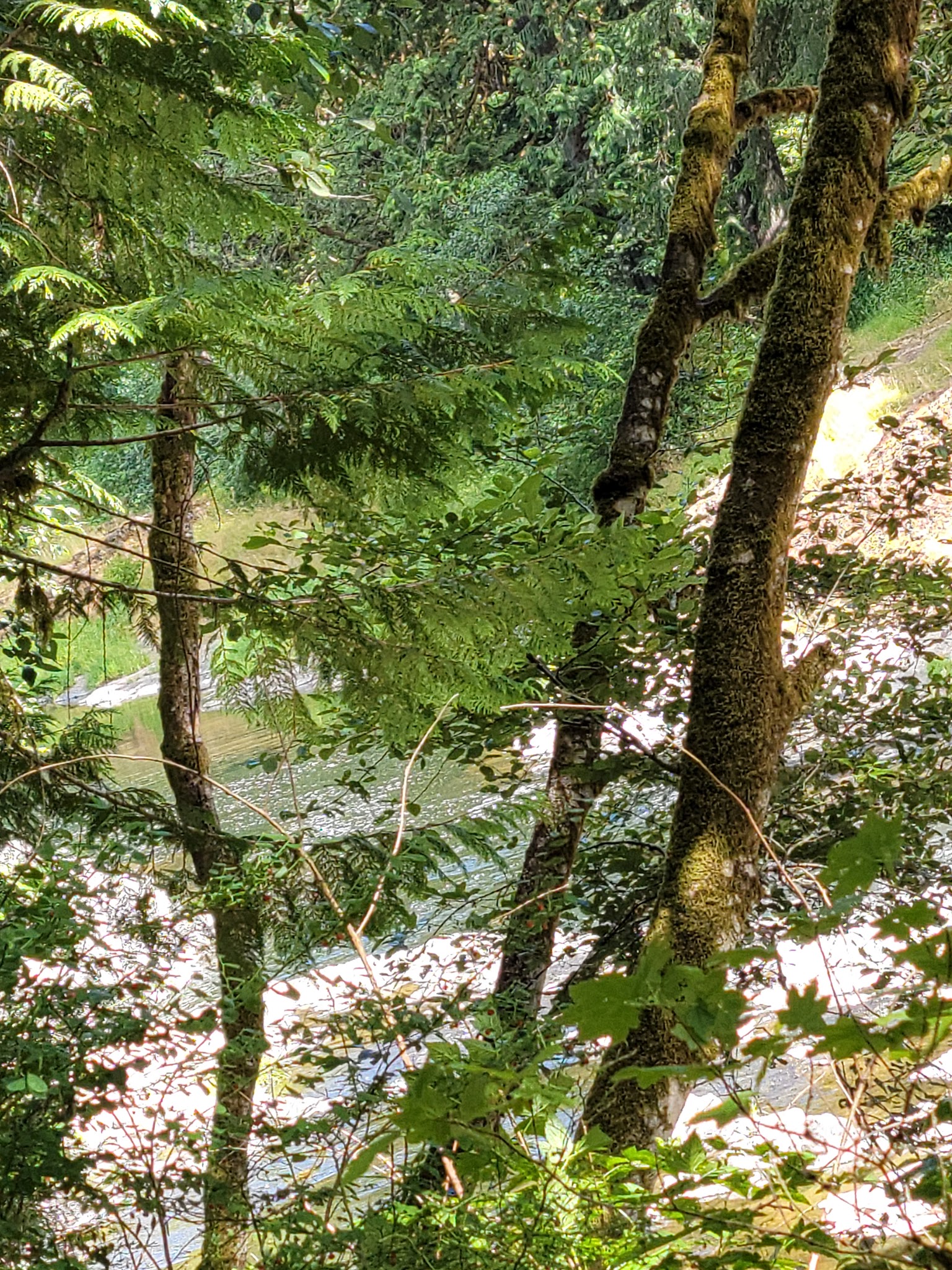 Rainbow Falls State Park