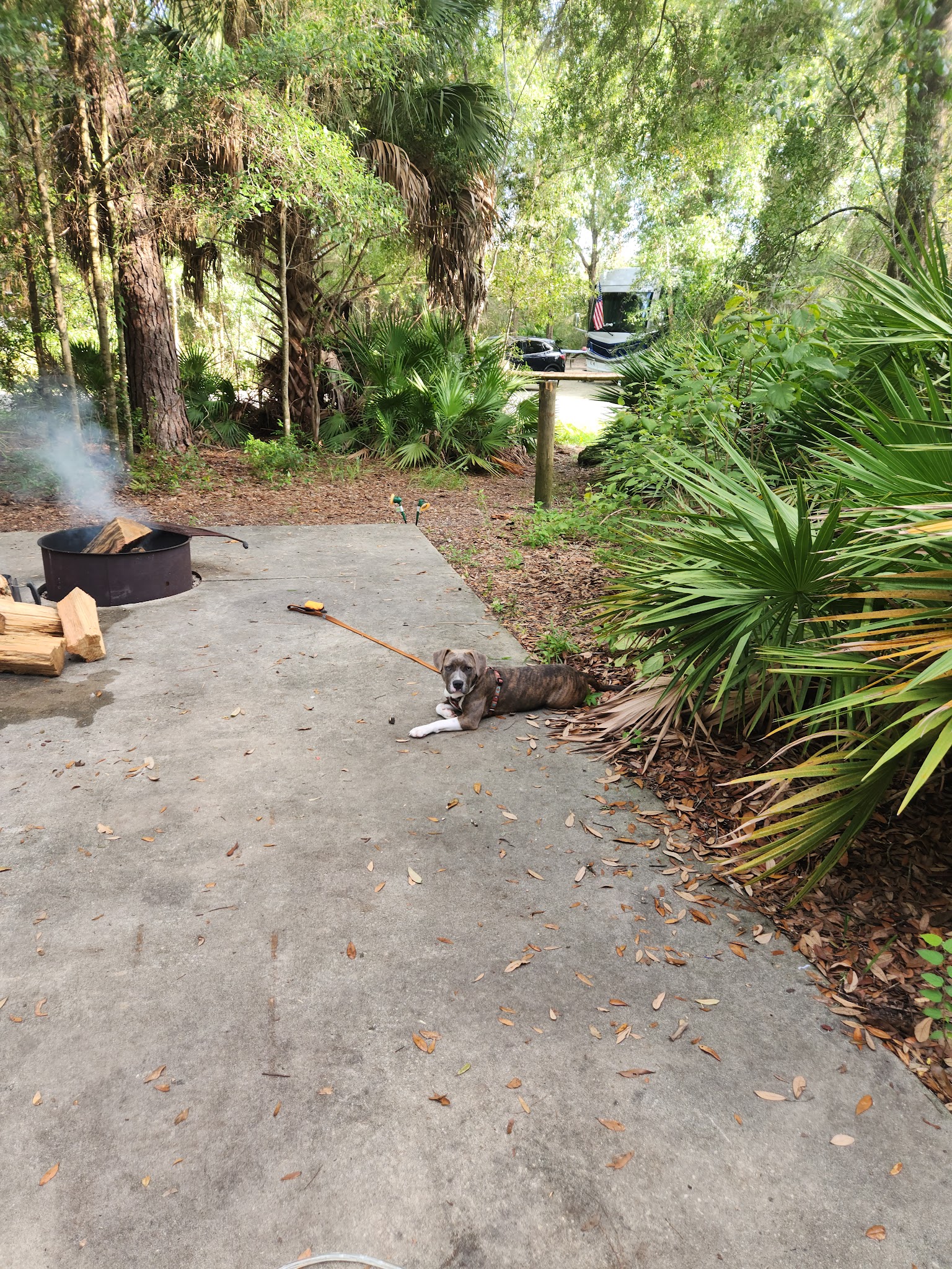Rainbow Springs State Park Campground