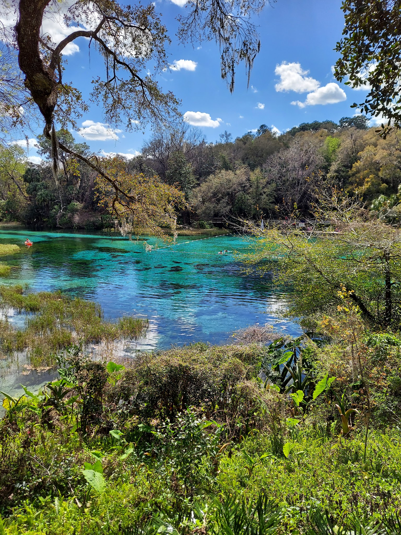Rainbow Springs State Park Campground