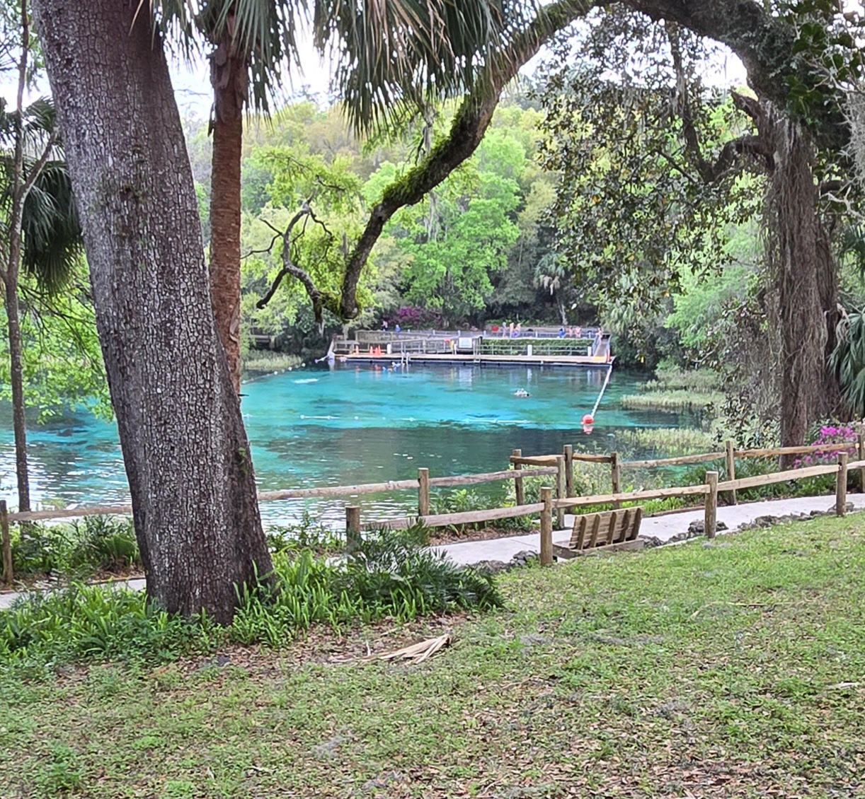 Rainbow Springs State Park Campground