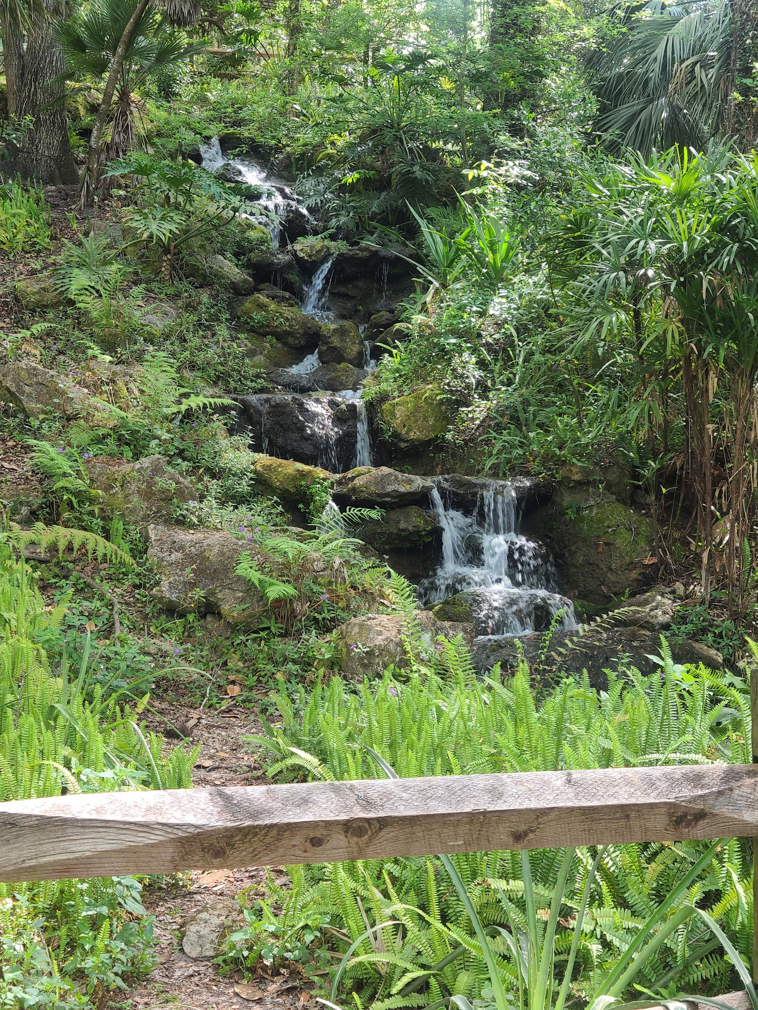Rainbow Springs State Park Campground