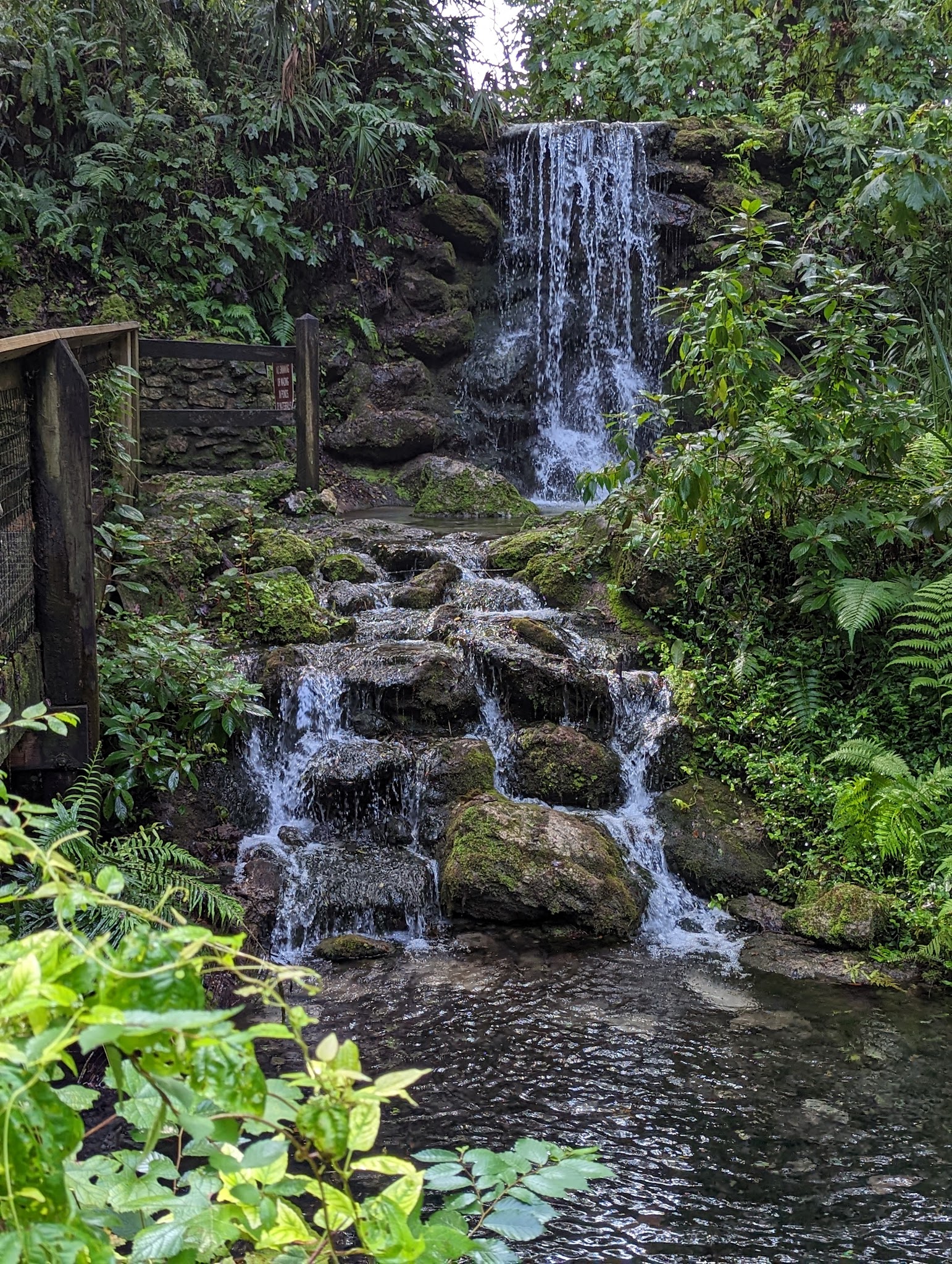 Rainbow Springs State Park Campground