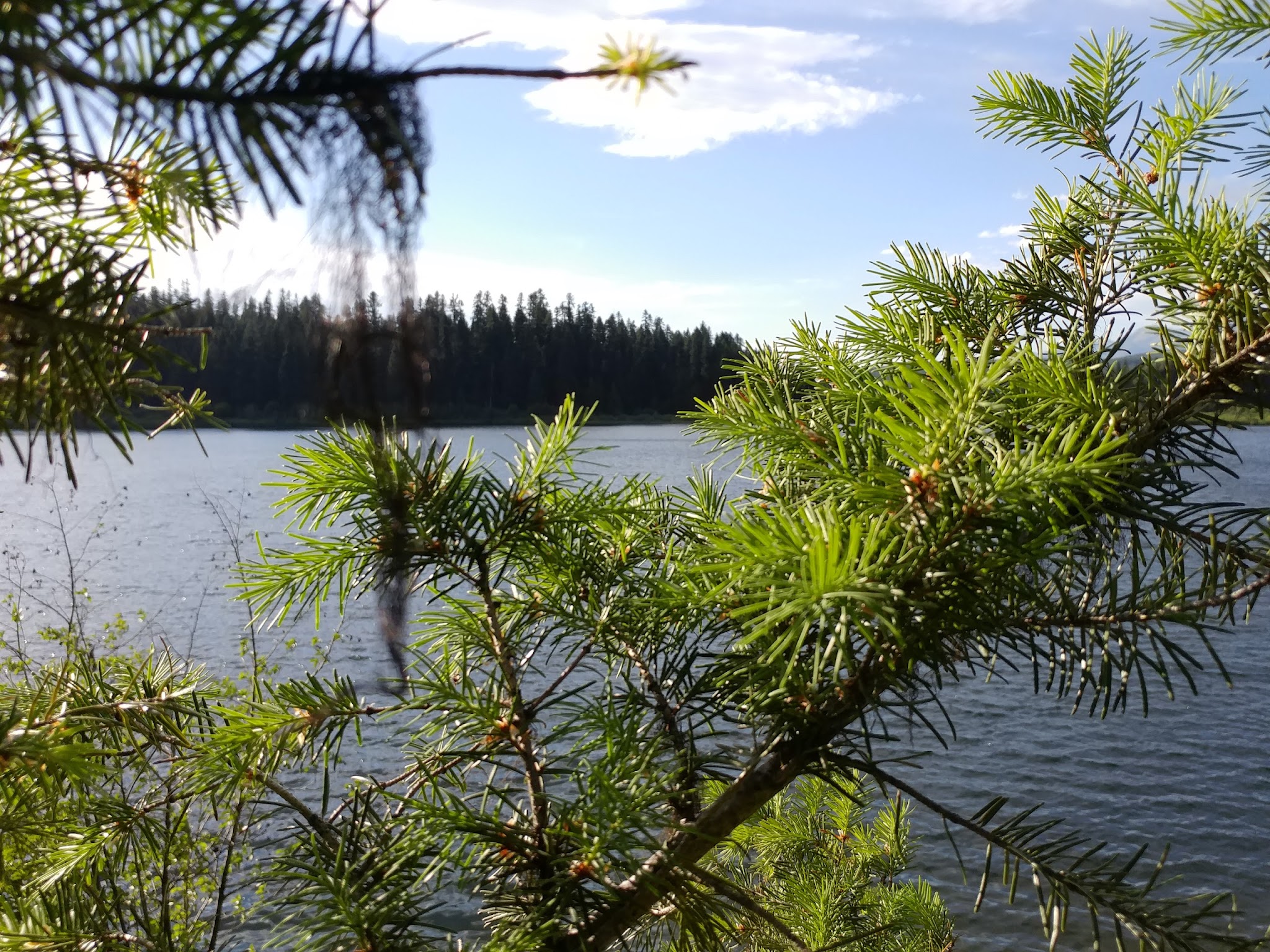 Rainy Lake Campground