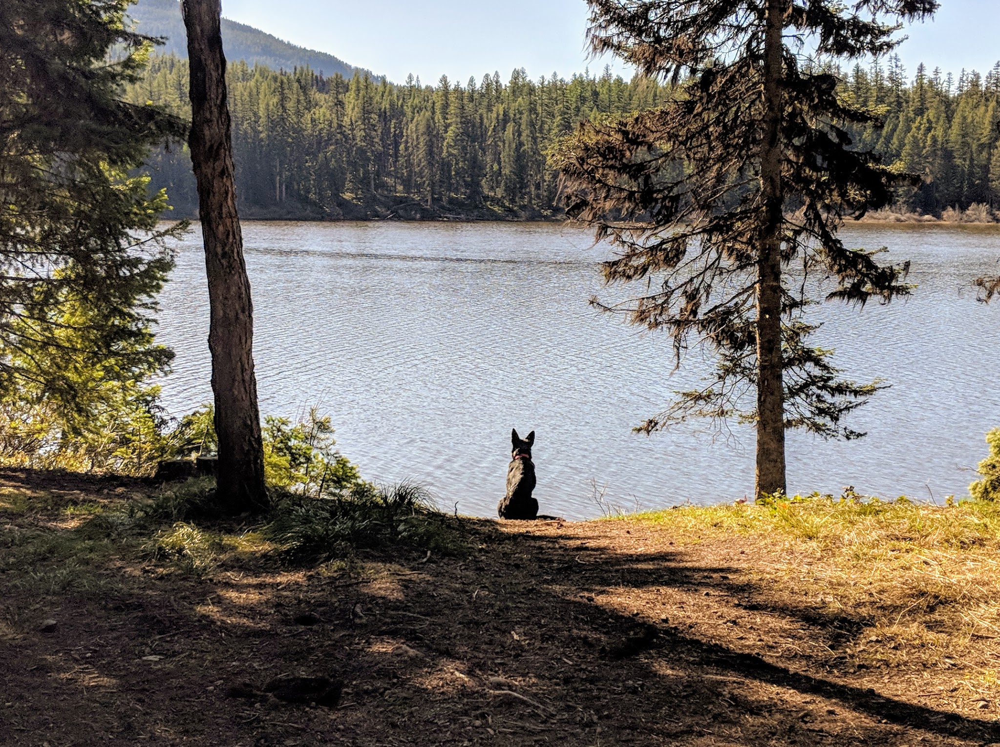 Rainy Lake Campground
