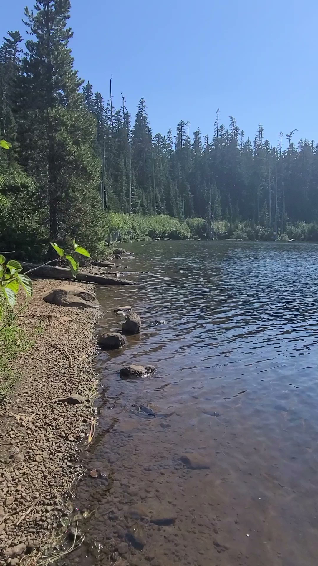 Rainy Lake Campground