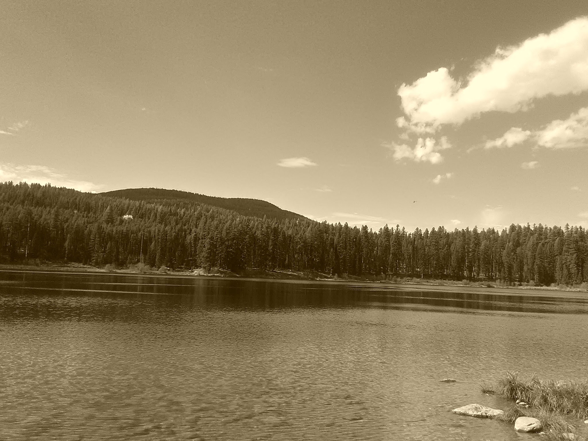 Rainy Lake Campground