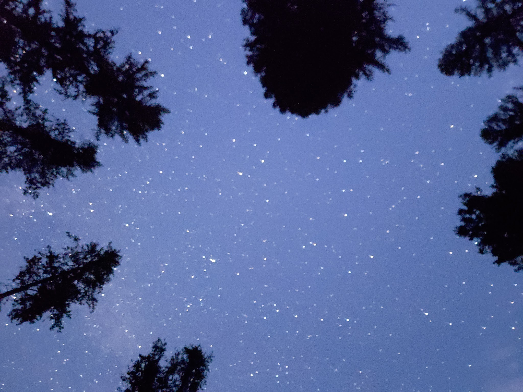 Rainy Lake Campground