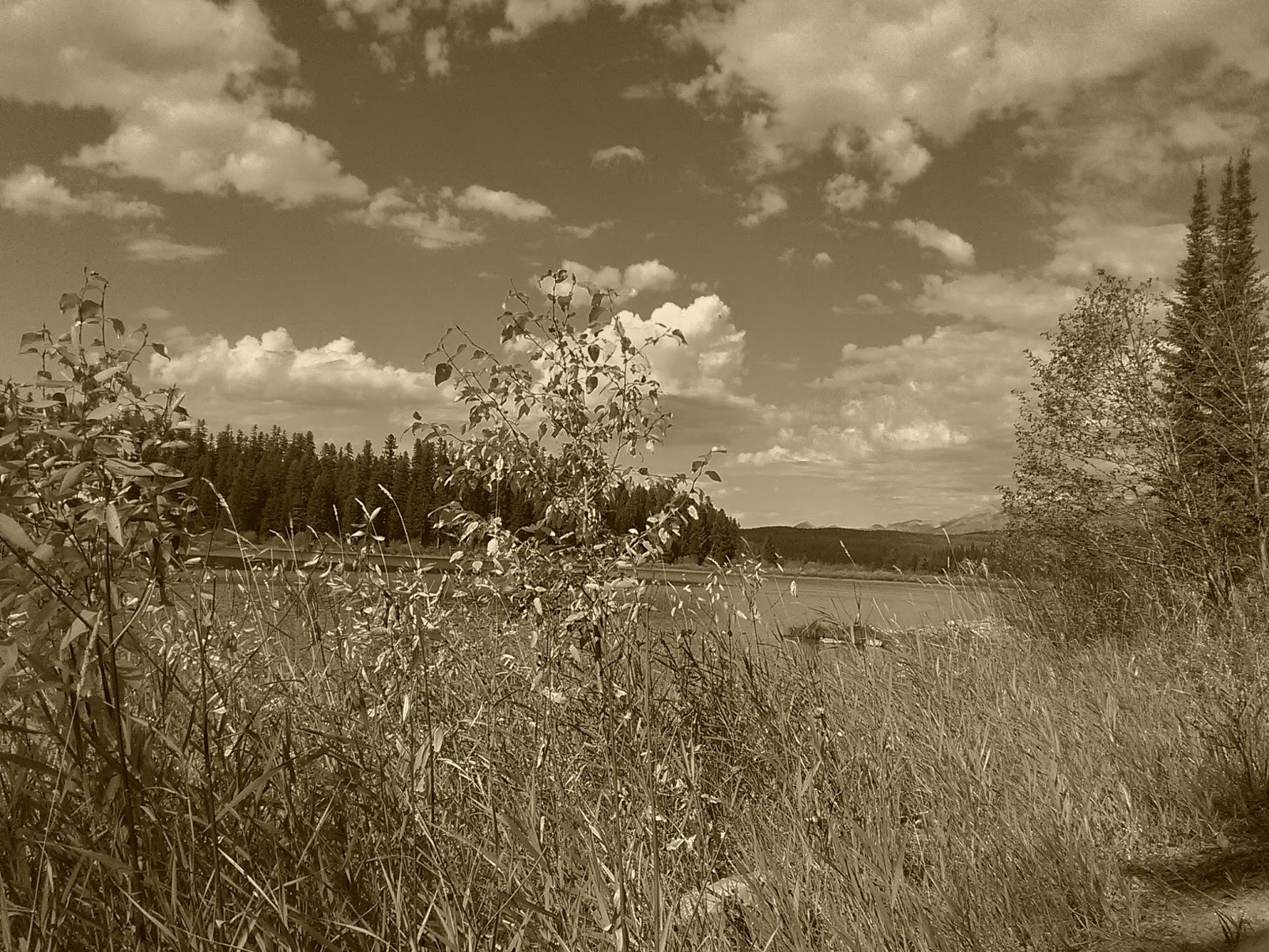 Rainy Lake Campground