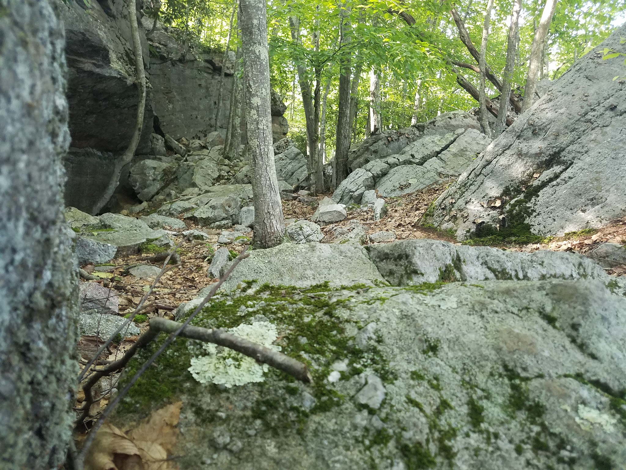Ralph Stover State Park