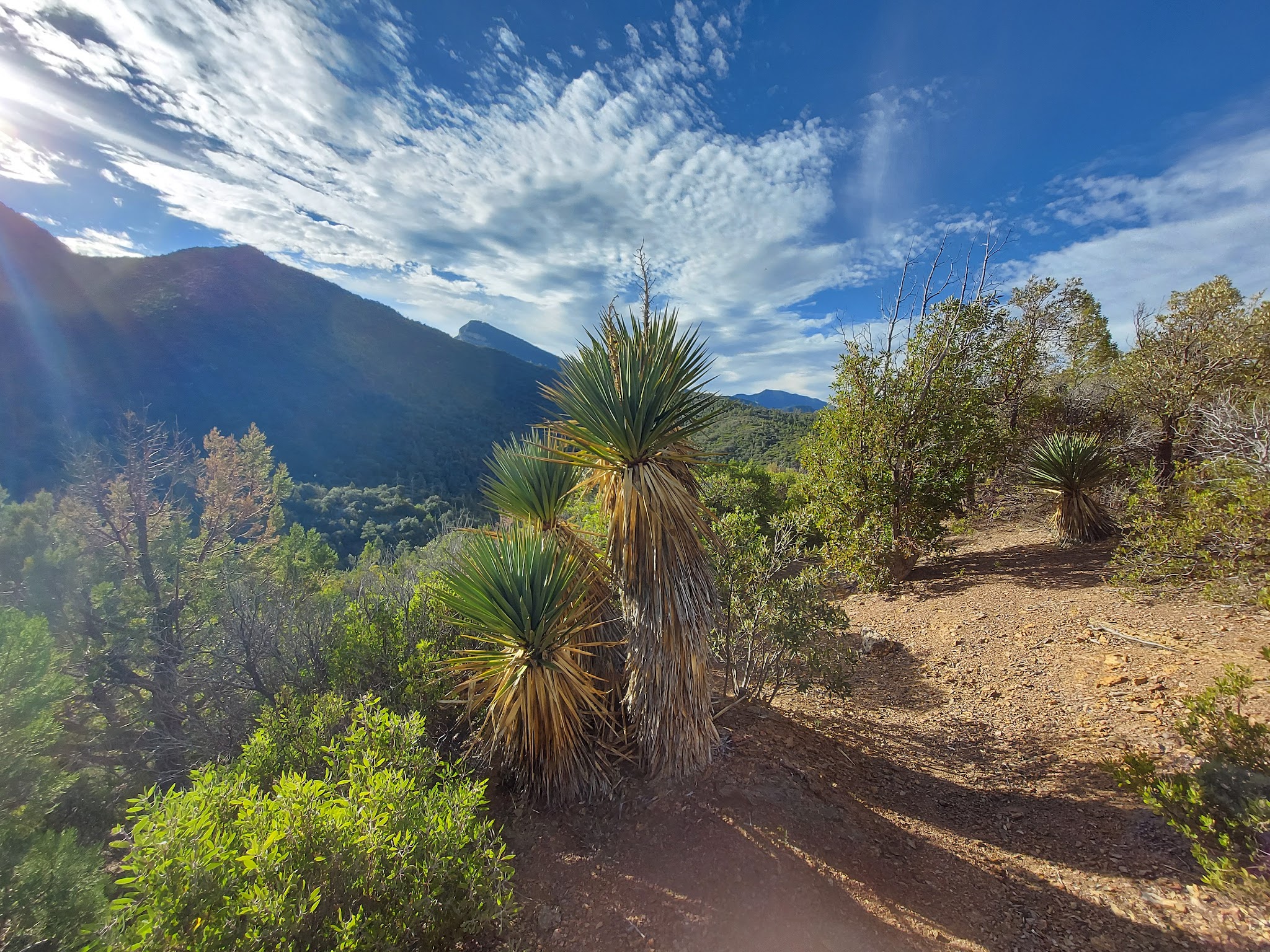 Ramsey Vista Campground