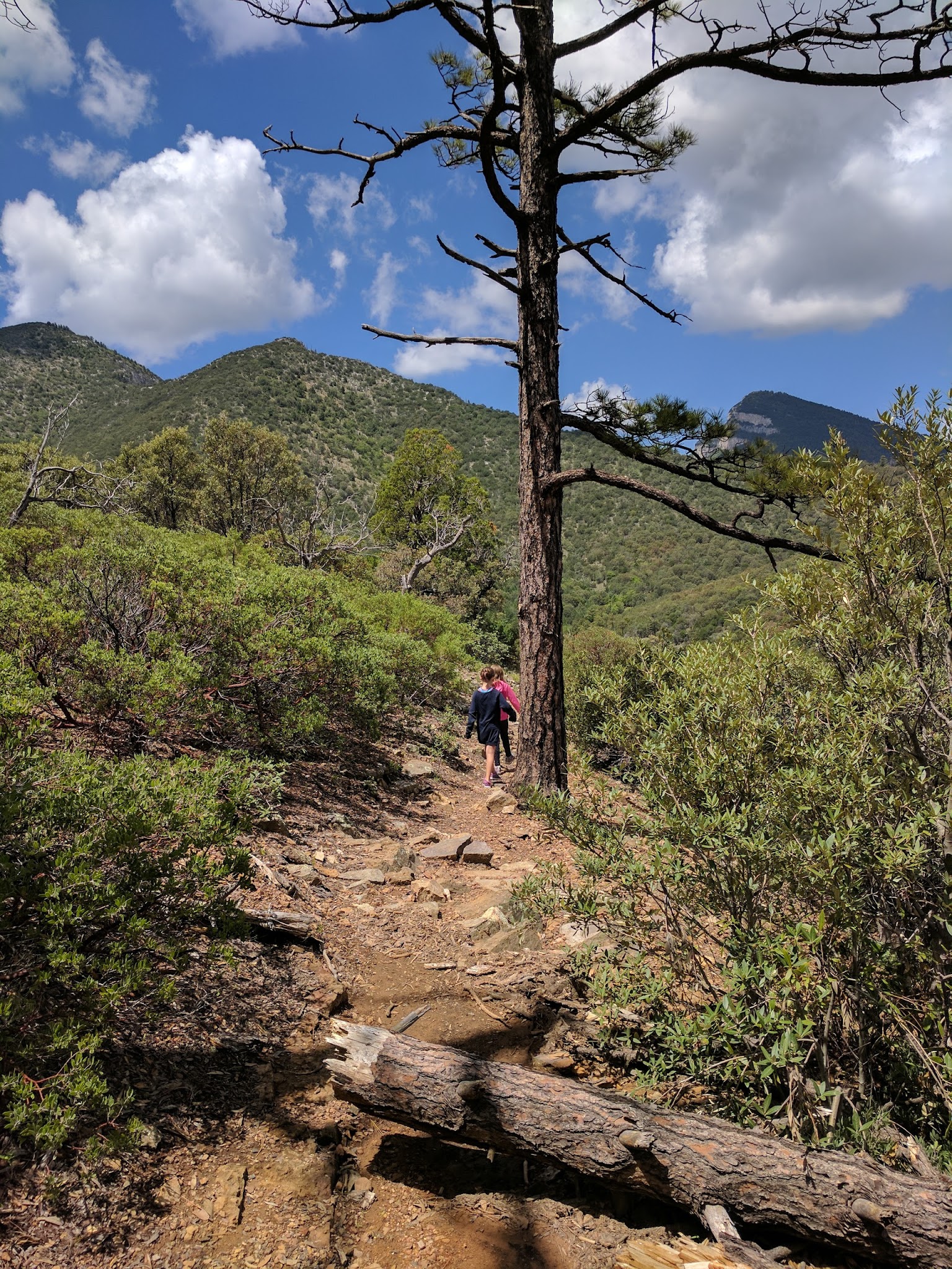 Ramsey Vista Campground