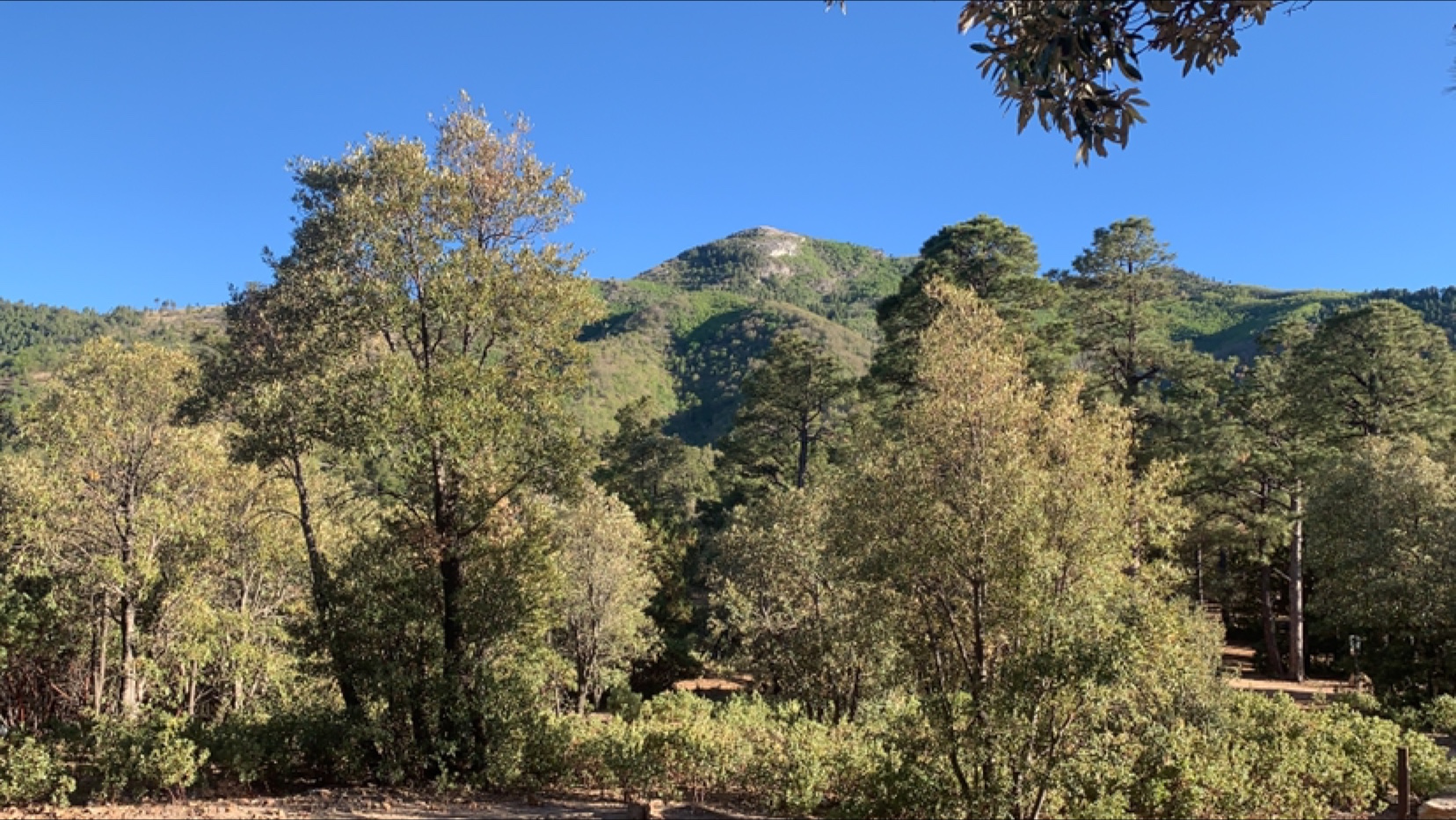 Ramsey Vista Campground