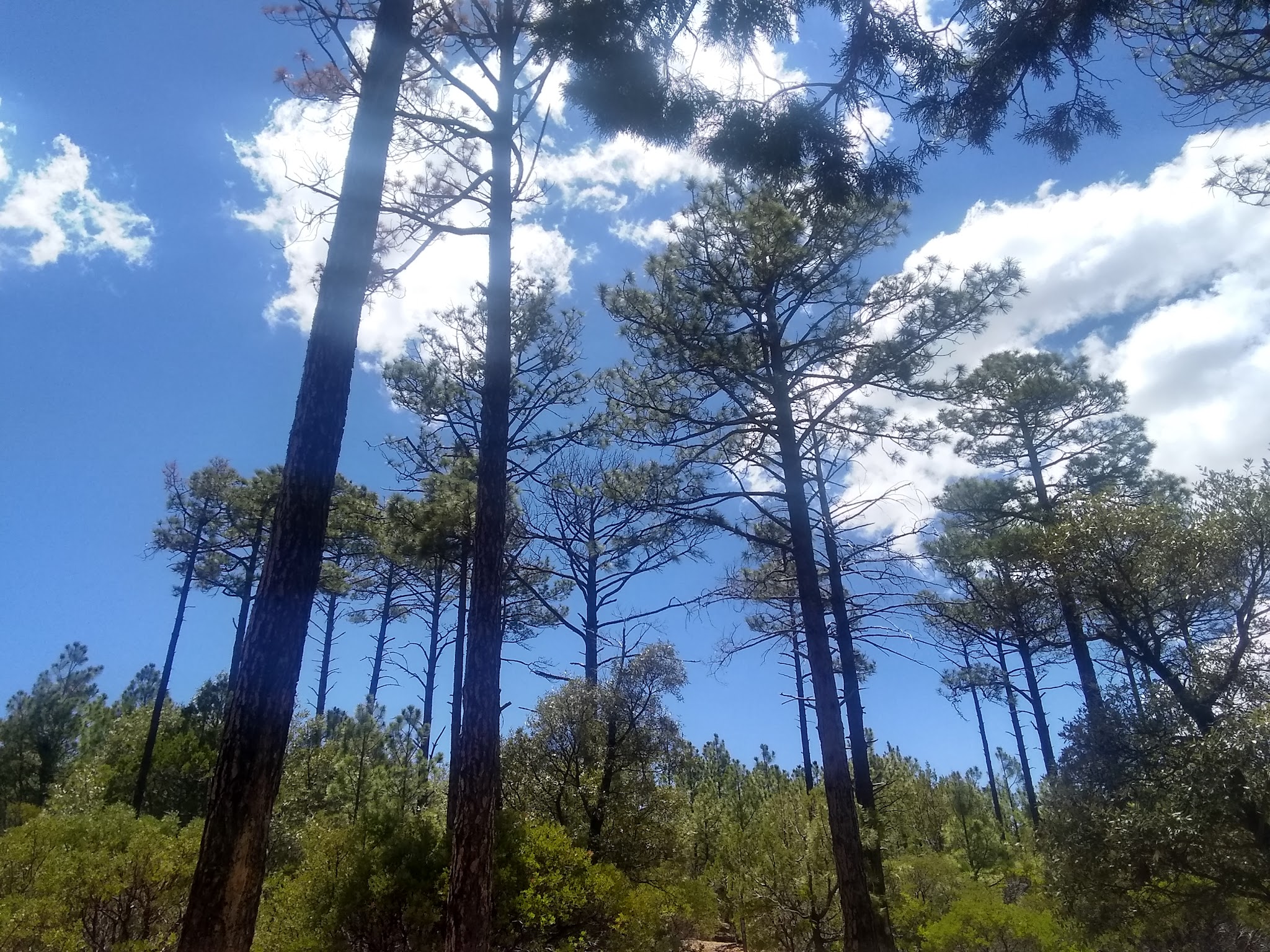 Ramsey Vista Campground