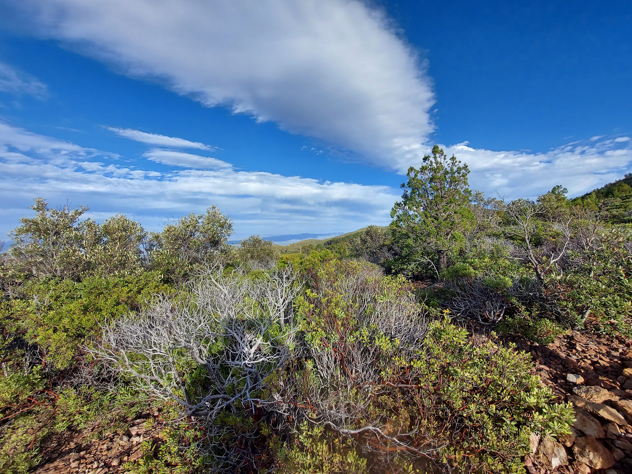 Ramsey Vista Campground