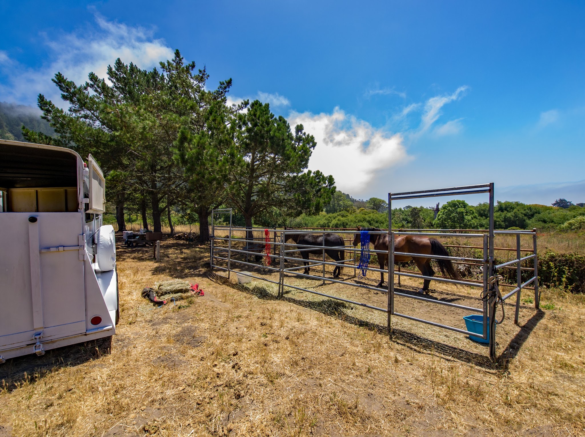 Rancho Del Oso Horse Campground