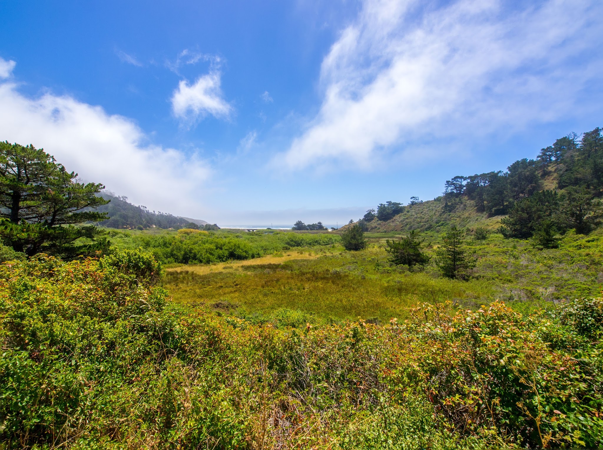 Rancho Del Oso Horse Campground