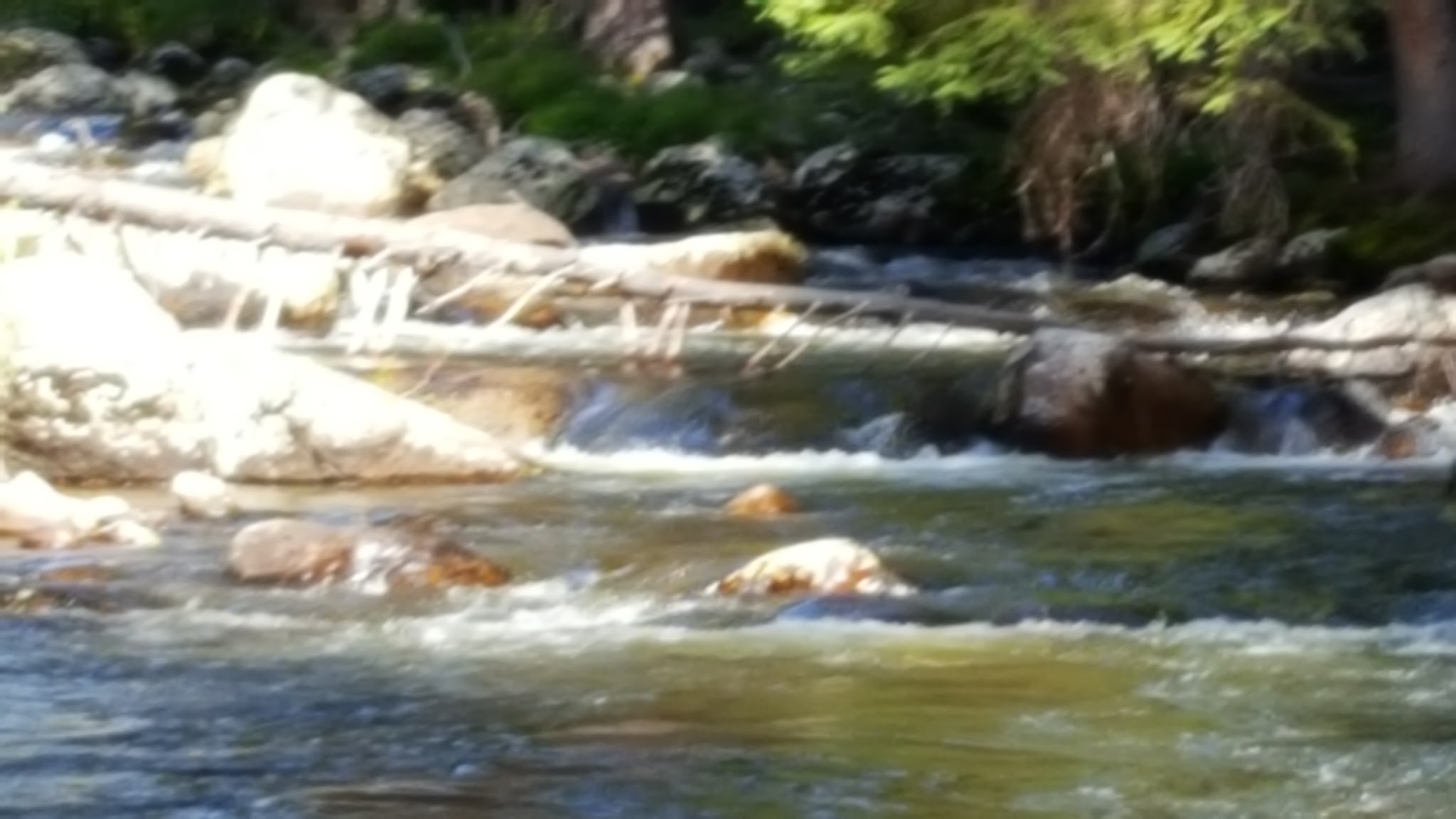 Ranger Creek Campground