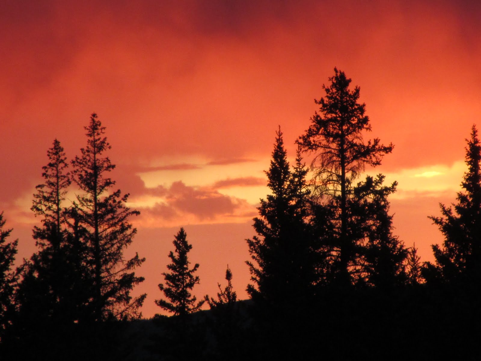 Ranger Creek Campground