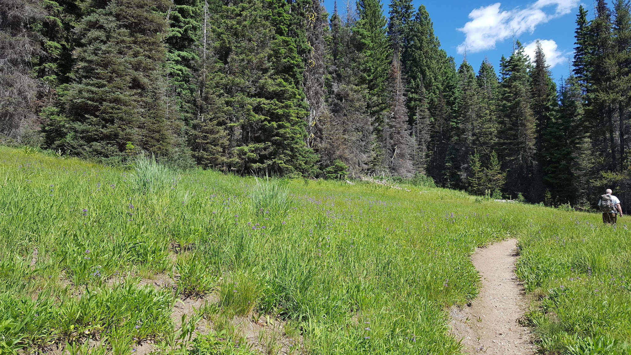 Rapid Creek Camping Area